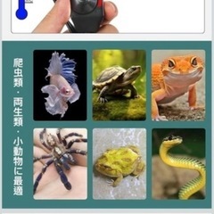 パネルヒーター、爬虫類、小動物などの画像