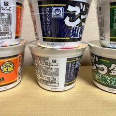 【決まりました！】ごつ盛　6個セット②の画像