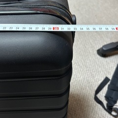 キャリーバッグの画像