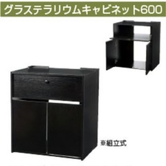 エキゾテラ　キャビネット　600の画像