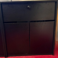 エキゾテラ　キャビネット　600の画像