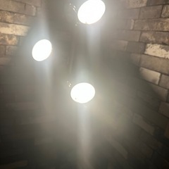 スタンドライトの画像