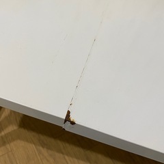 レンジラック 伸縮　幅38~60cm 高さ2段階調節　ホワイト　地域限定無料配送の画像