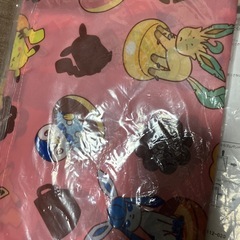 ポケモンエコーバッグセットの画像