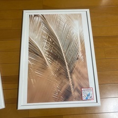 アートフレームの画像