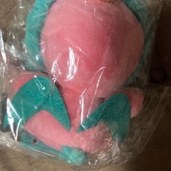 アーヤナマスコット&パキラキーホルダーの画像