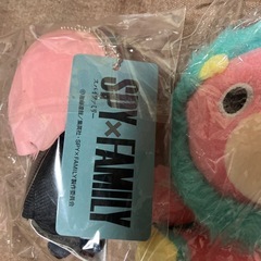 アーヤナマスコット&パキラキーホルダーの画像