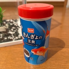 金魚の水槽の画像