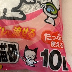 約3000円分。　10L✖️2袋　ライオン　ニオイをとる猫砂　　の画像