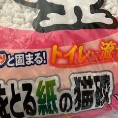 約3000円分。　10L✖️2袋　ライオン　ニオイをとる猫砂　　の画像