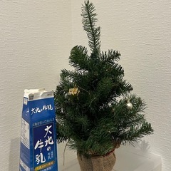 ミニクリスマスツリー 約45㎝の画像