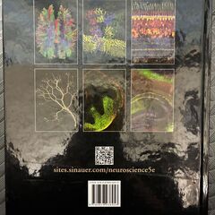 NEUROSCIENCE Fifth Edition (第5版) 脳神経科学 洋書 医学書 Purves【現金・ネット決済可】の画像