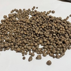 むかご　150gの画像