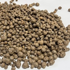 むかご　150gの画像