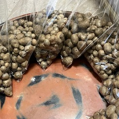 むかご　150gの画像