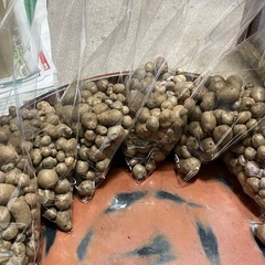 むかご　150gの画像