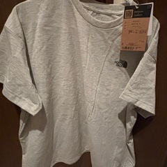 ノースフェイス　レディースTシャツLサイズ 2点 (2点定価合計13,530円)の画像