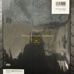 ネッター解剖学アトラス 原書第6版 Netter 南江堂 医学書 看護 医療【現金・ネット決済可】の画像