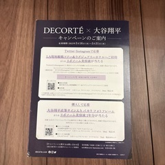 大谷さん（オオタニサン）チラシ貴重
の画像