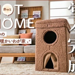 ネコの暖かいわが家　ペット用防寒対策の画像