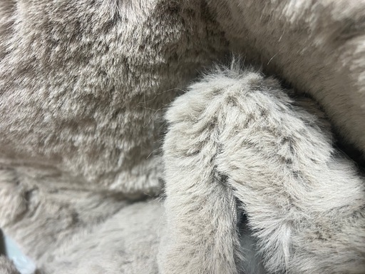 ✨美品✨　毛長絨毯