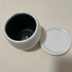 鉢の画像