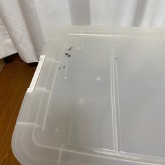 衣装ケースの画像