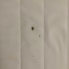 無印良品　脚付マットレス
の画像