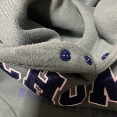 CHUMSパーカーの画像