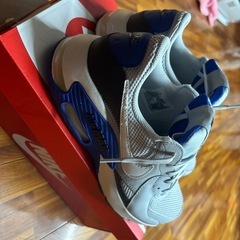 NIKE    AIR MAX    青の画像
