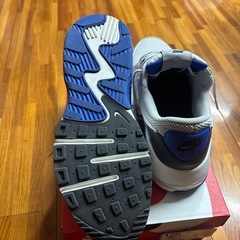NIKE    AIR MAX    青の画像