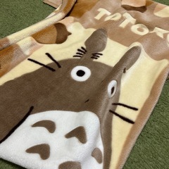 美品☆となりのトトロ・カイロカバーの画像