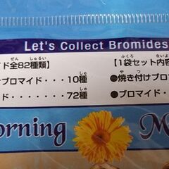 モーニング娘。プロマイド40枚の画像