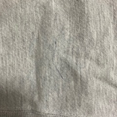 Authentic apparel champion スウェット チャンピオン　トレーナー　グレーの画像