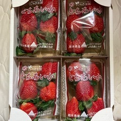 朝収穫した新鮮いちご🍓の画像