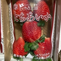 朝収穫した新鮮いちご🍓の画像