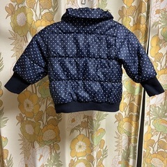 中わたジャケットの画像