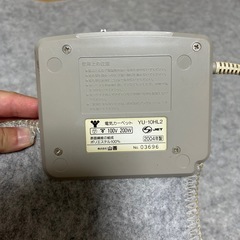 一畳用電気カーペットの画像