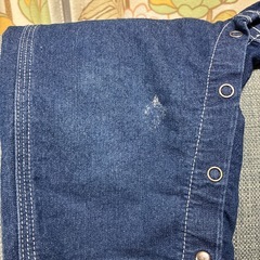 Leeオーバーオールの画像