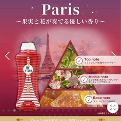 王子製薬 洗濯ビーズの画像