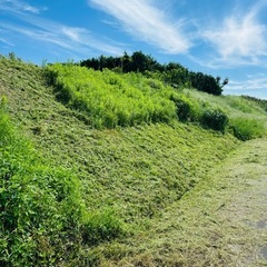 	【農地管理・草刈り】知多半島エリアで対応しますの画像