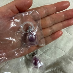 めじるしアクセサリーの画像