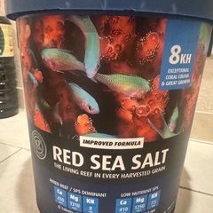 【複数セット】90×45×45水槽・ハナヒゲウツボ・上部濾過・ろ材・水流ポンプ・飾りサンゴ・サンゴ8種・カニ・人工海水・おまけでガラス蓋、サンゴ砂、クーラーボックス※引取り限定(東京)の画像