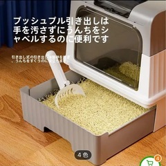 猫トイレの画像