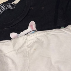 TOMMY Tシャツ 半袖 の画像