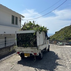 24年スズキキャリイの画像