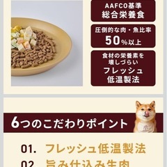 ココグルメ・ドライ チキン＆フィッシュ 愛犬用   の画像