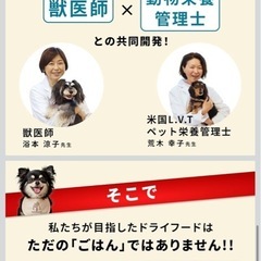ココグルメ・ドライ チキン＆フィッシュ 愛犬用   の画像