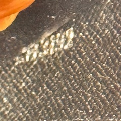 ルイヴィトン　グラフィット　ヴェルディカル②の画像