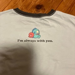 ハンギョドンTシャツの画像